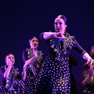 Fotografía de Talleres Baile Flamenco - Conservatorio de Danza