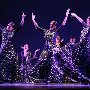 Fotografía de Talleres Baile Flamenco - Conservatorio de Danza