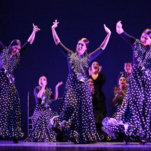 Fotografía de Talleres Baile Flamenco - Conservatorio de Danza