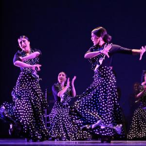 Fotografía de Talleres Baile Flamenco - Conservatorio de Danza