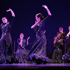 Fotografía de Talleres Baile Flamenco - Conservatorio de Danza