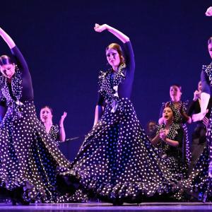 Fotografía de Talleres Baile Flamenco - Conservatorio de Danza