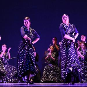Fotografía de Talleres Baile Flamenco - Conservatorio de Danza