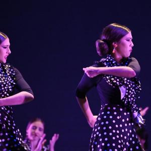 Fotografía de Talleres Baile Flamenco - Conservatorio de Danza