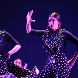 Fotografía de Talleres Baile Flamenco - Conservatorio de Danza