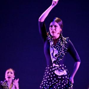 Fotografía de Talleres Baile Flamenco - Conservatorio de Danza