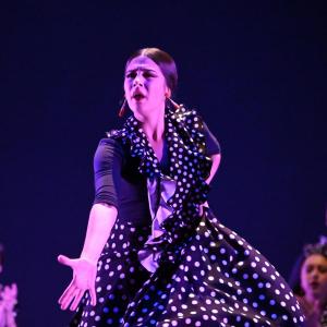 Fotografía de Talleres Baile Flamenco - Conservatorio de Danza