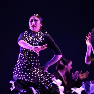 Fotografía de Talleres Baile Flamenco - Conservatorio de Danza