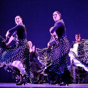 Fotografía de Talleres Baile Flamenco - Conservatorio de Danza
