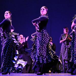 Fotografía de Talleres Baile Flamenco - Conservatorio de Danza