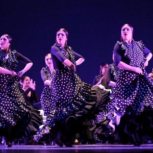 Fotografía de Talleres Baile Flamenco - Conservatorio de Danza