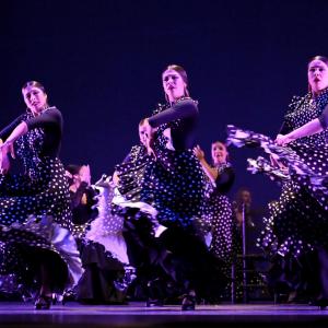 Fotografía de Talleres Baile Flamenco - Conservatorio de Danza