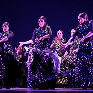 Fotografía de Talleres Baile Flamenco - Conservatorio de Danza