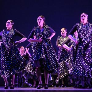Fotografía de Talleres Baile Flamenco - Conservatorio de Danza