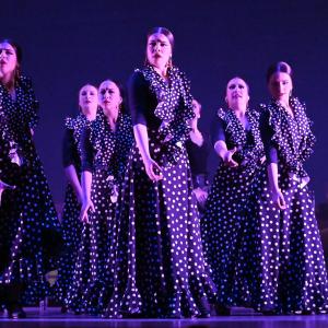 Fotografía de Talleres Baile Flamenco - Conservatorio de Danza