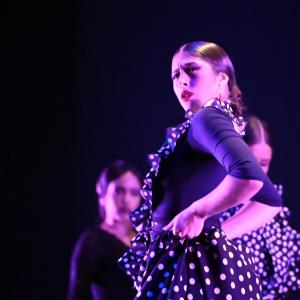 Fotografía de Talleres Baile Flamenco - Conservatorio de Danza