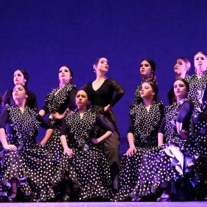 Fotografía de Talleres Baile Flamenco - Conservatorio de Danza
