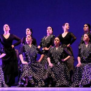 Fotografía de Talleres Baile Flamenco - Conservatorio de Danza