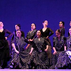 Fotografía de Talleres Baile Flamenco - Conservatorio de Danza
