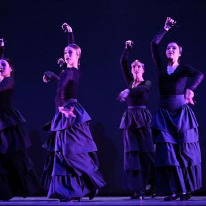 Fotografía de Talleres Baile Flamenco - Conservatorio de Danza