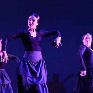 Fotografía de Talleres Baile Flamenco - Conservatorio de Danza