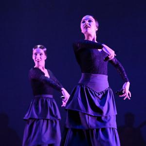 Fotografía de Talleres Baile Flamenco - Conservatorio de Danza