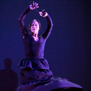 Fotografía de Talleres Baile Flamenco - Conservatorio de Danza