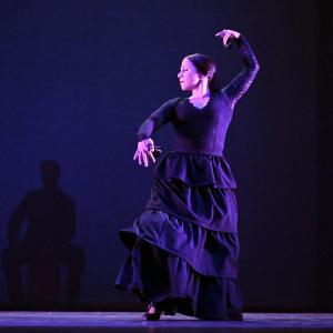 Fotografía de Talleres Baile Flamenco - Conservatorio de Danza