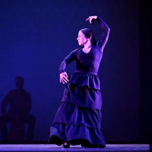Fotografía de Talleres Baile Flamenco - Conservatorio de Danza