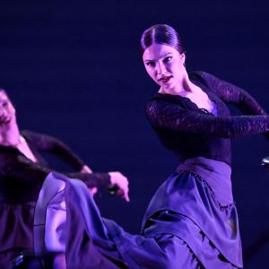 Fotografía de Talleres Baile Flamenco - Conservatorio de Danza