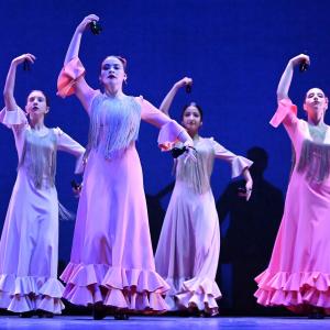 Fotografía de Talleres Baile Flamenco - Conservatorio de Danza
