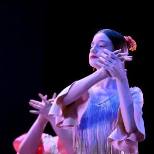 Fotografía de Talleres Baile Flamenco - Conservatorio de Danza