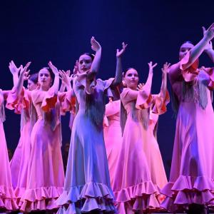 Fotografía de Talleres Baile Flamenco - Conservatorio de Danza