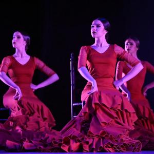 Fotografía de Talleres Baile Flamenco - Conservatorio de Danza