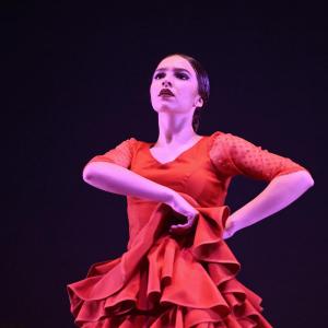 Fotografía de Talleres Baile Flamenco - Conservatorio de Danza