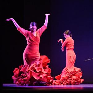 Fotografía de Talleres Baile Flamenco - Conservatorio de Danza