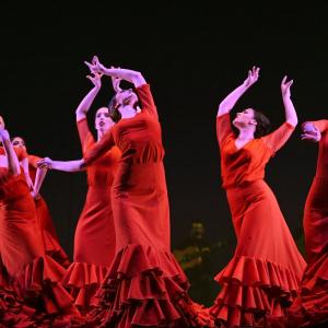 Fotografía de Talleres Baile Flamenco - Conservatorio de Danza