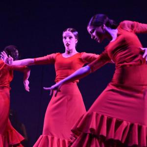 Fotografía de Talleres Baile Flamenco - Conservatorio de Danza