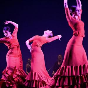 Fotografía de Talleres Baile Flamenco - Conservatorio de Danza