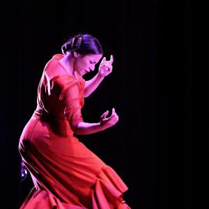 Fotografía de Talleres Baile Flamenco - Conservatorio de Danza