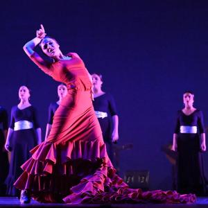 Fotografía de Talleres Baile Flamenco - Conservatorio de Danza