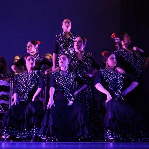 Fotografía de Talleres Baile Flamenco - Conservatorio de Danza