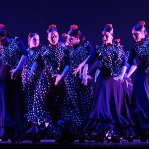 Fotografía de Talleres Baile Flamenco - Conservatorio de Danza