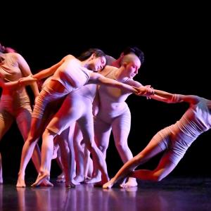Fotografía de Talleres Danza Contemporánea (pase previo) - Conservatorio de Danza