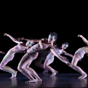 Fotografía de Talleres Danza Contemporánea (pase previo) - Conservatorio de Danza