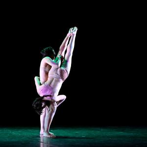 Fotografía de Talleres Danza Contemporánea (pase previo) - Conservatorio de Danza