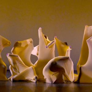 Fotografía de Talleres Danza Clásica (previos) - Conservatorio de Danza