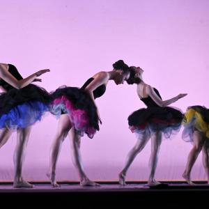 Fotografía de Talleres Danza Clásica - Conservatorio de Danza