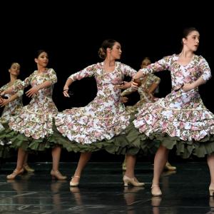 Fotografía de Muestra Graduación - Conservatorio de Danza