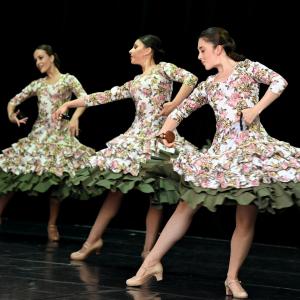 Fotografía de Muestra Graduación - Conservatorio de Danza